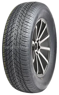 Шина COMPASAL WINTERBLAZER HP 205/55 R16 91H